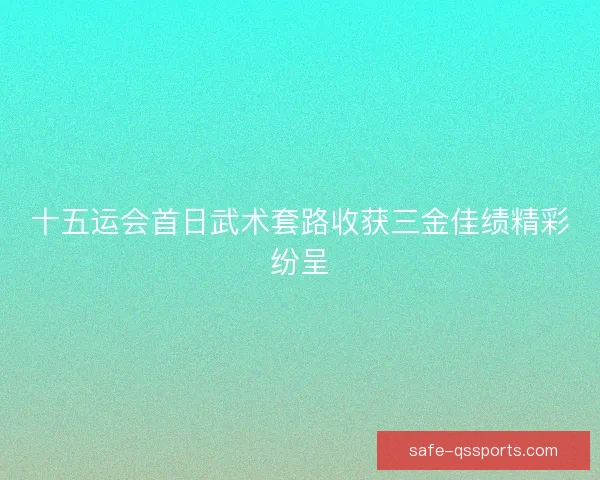 十五运会首日武术套路收获三金佳绩精彩纷呈 十五运会首日武术套路收获三金佳绩精彩纷呈